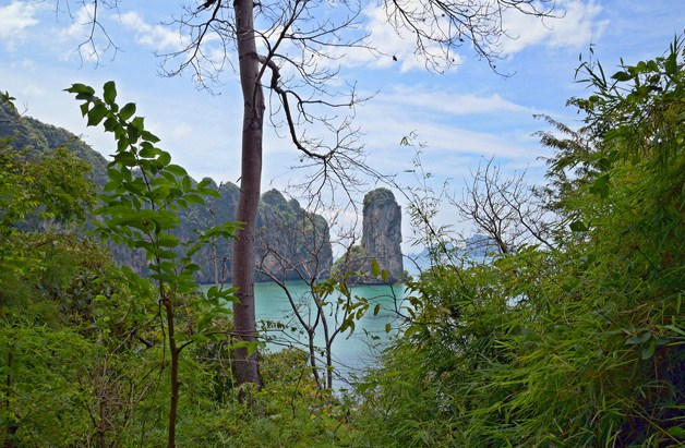 imageedit_1_7290423445